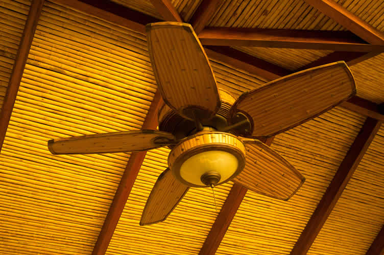 why ceiling fans