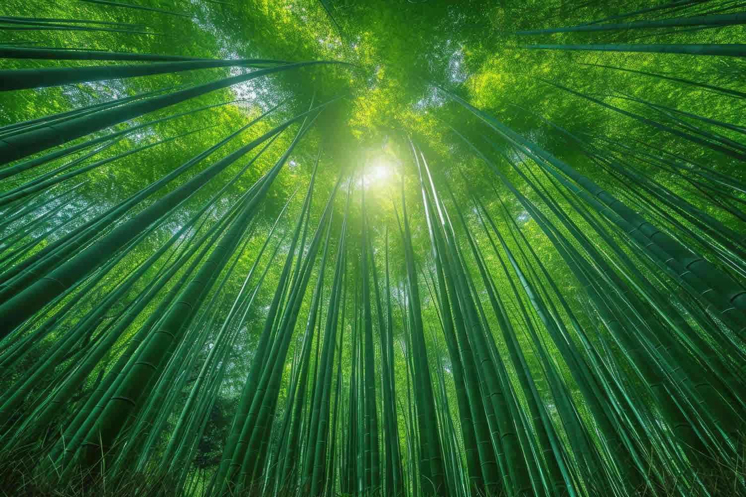 eco-friendly homes