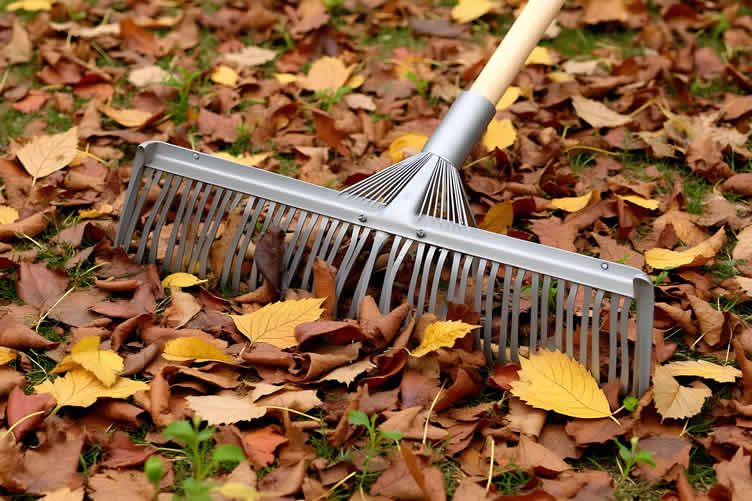 fall cleanup challenges