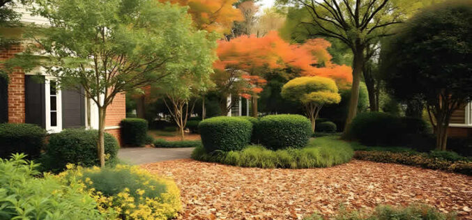 The Messiest Trees: Why Some Species Turn Fall Cleanup Into a Major Chore