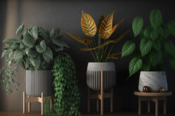 Elevate Your Greenery: The Ultimate Guide to Indoor Plant Stands and Holders