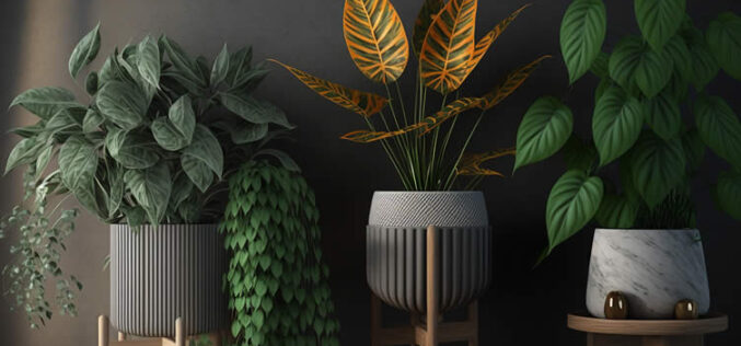 Elevate Your Greenery: The Ultimate Guide to Indoor Plant Stands and Holders