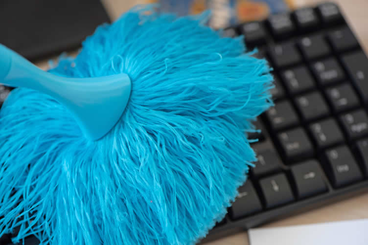 choosng the right duster