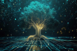 The Hidden Intelligence Of The Mycorrhizal Network