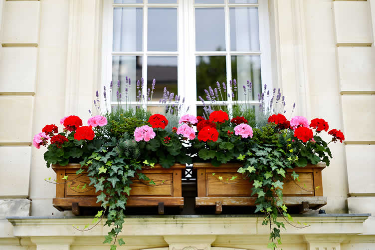 flower garden container ideas