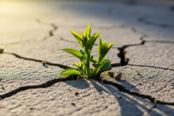 Safeguarding Your Home: A Guide to Drought Preparedness