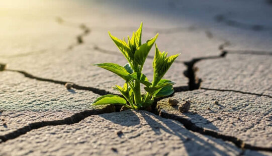 Safeguarding Your Home: A Guide to Drought Preparedness