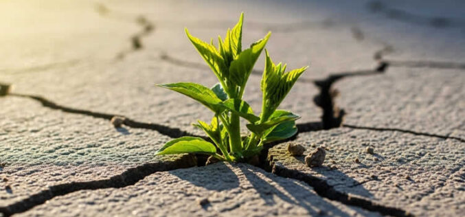 Safeguarding Your Home: A Guide to Drought Preparedness