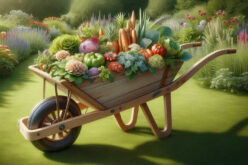 How to Create a Beautiful Edible Landscape