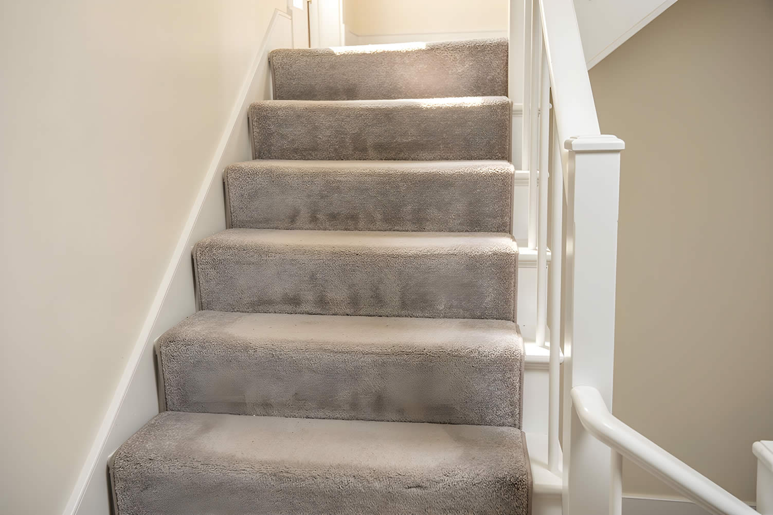 carpet floors