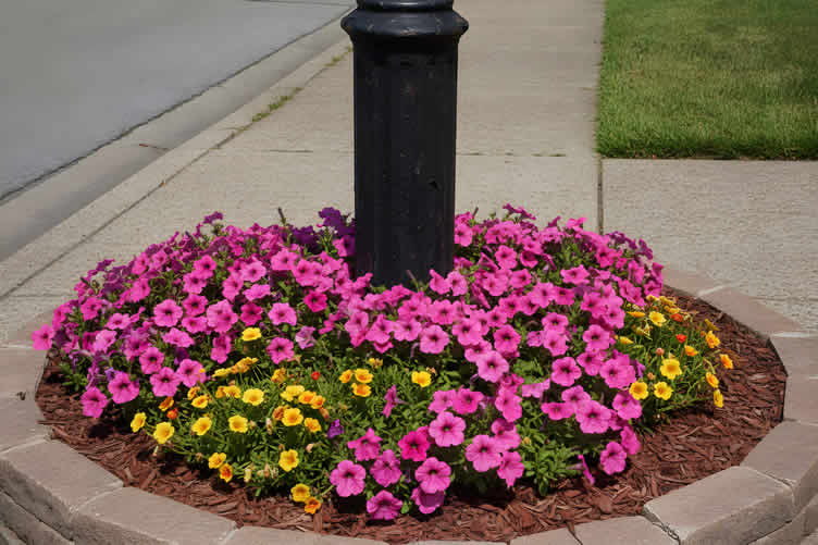 mailbox landscaping