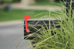 Turn Your Mailbox Into a Front-Yard Vignette Worth Stopping For