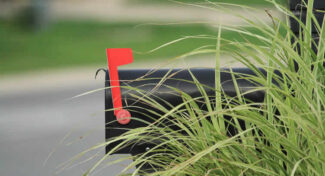 Turn Your Mailbox Into a Front-Yard Vignette Worth Stopping For
