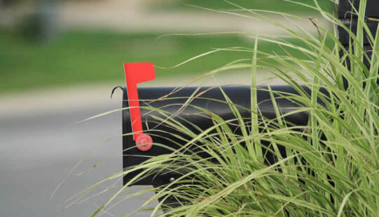 Turn Your Mailbox Into a Front-Yard Vignette Worth Stopping For