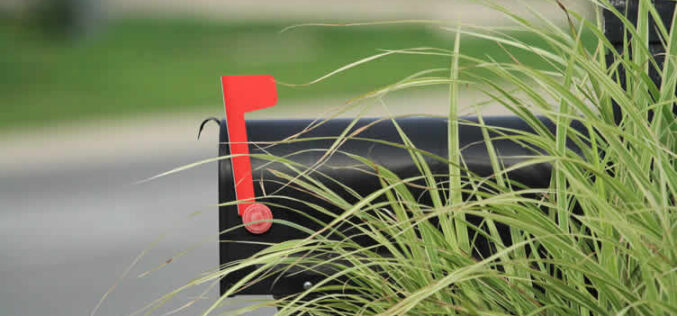 Turn Your Mailbox Into a Front-Yard Vignette Worth Stopping For