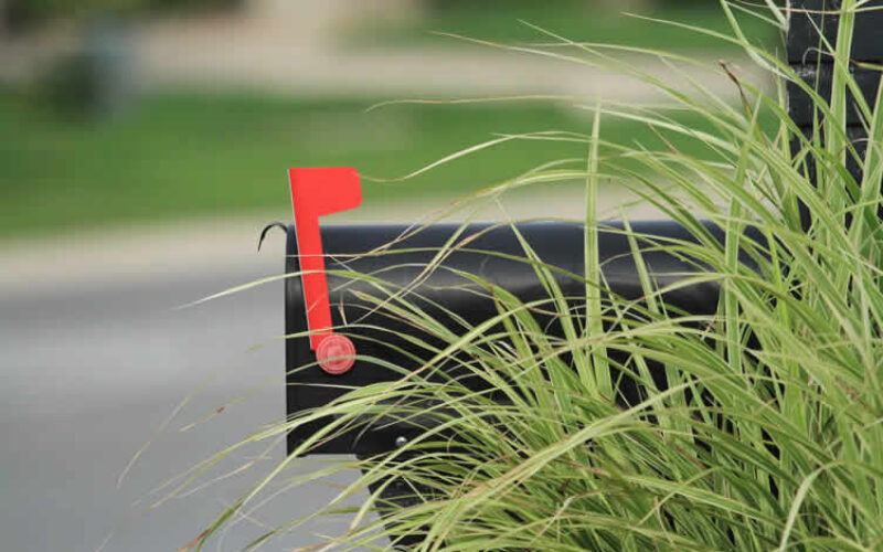 Turn Your Mailbox Into a Front-Yard Vignette Worth Stopping For