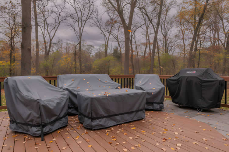 fall yard cleanup