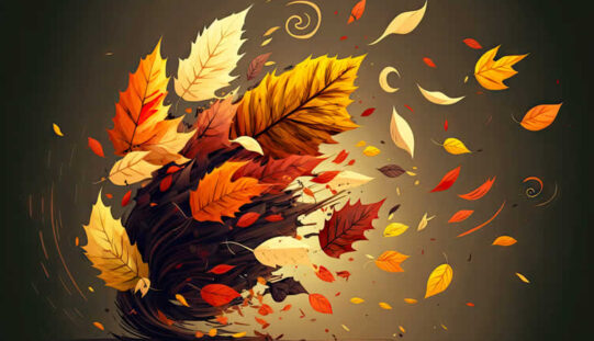 Fall Yard Cleanup: Your Complete Checklist Before Winter