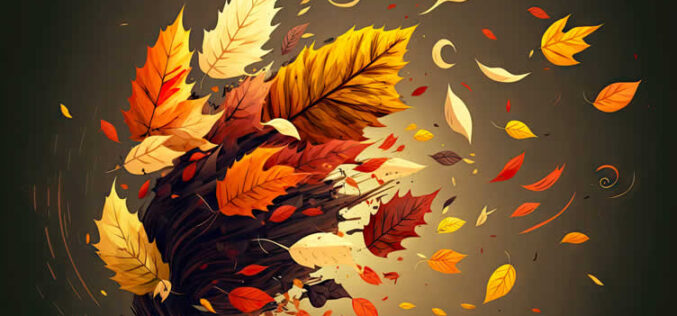 Fall Yard Cleanup: Your Complete Checklist Before Winter