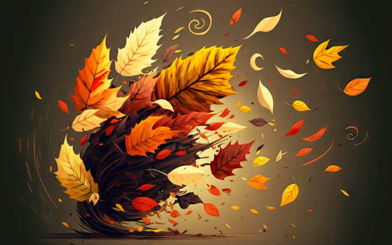 Fall Yard Cleanup: Your Complete Checklist Before Winter