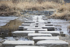 Spring Planning: Using Stepping Stones in Your Garden Landscape
