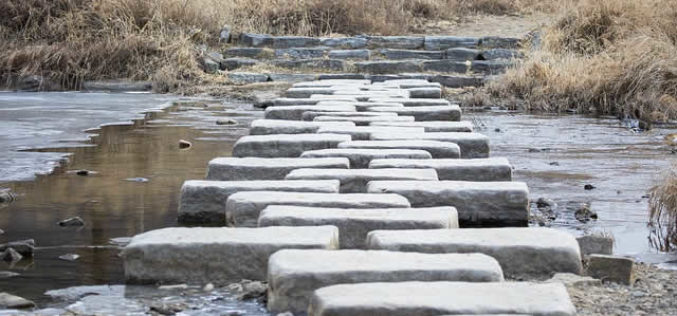 Spring Planning: Using Stepping Stones in Your Garden Landscape