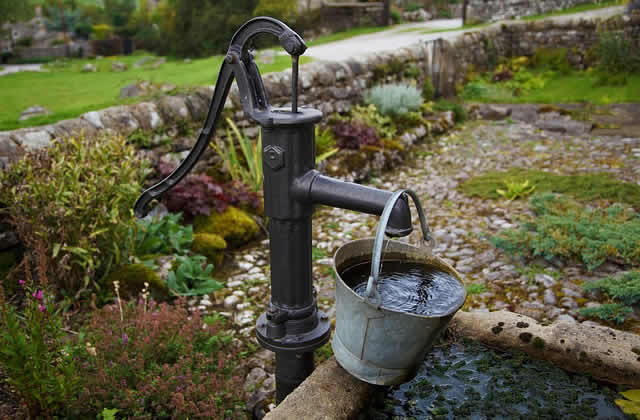 Landscape Ideas