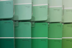 <span>wall color paint sample</span> Let’s Go With Something Green
