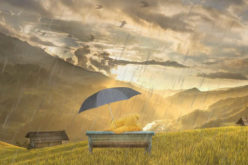 April Showers Bring May Flowers … and More!