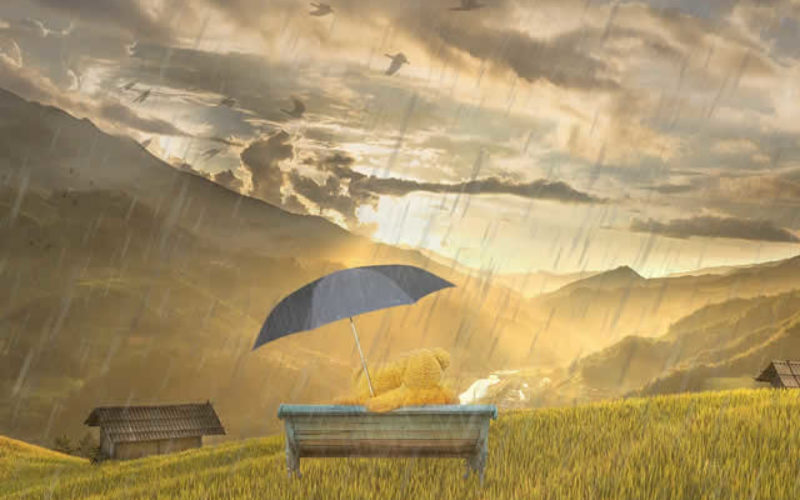 April Showers Bring May Flowers … and More!