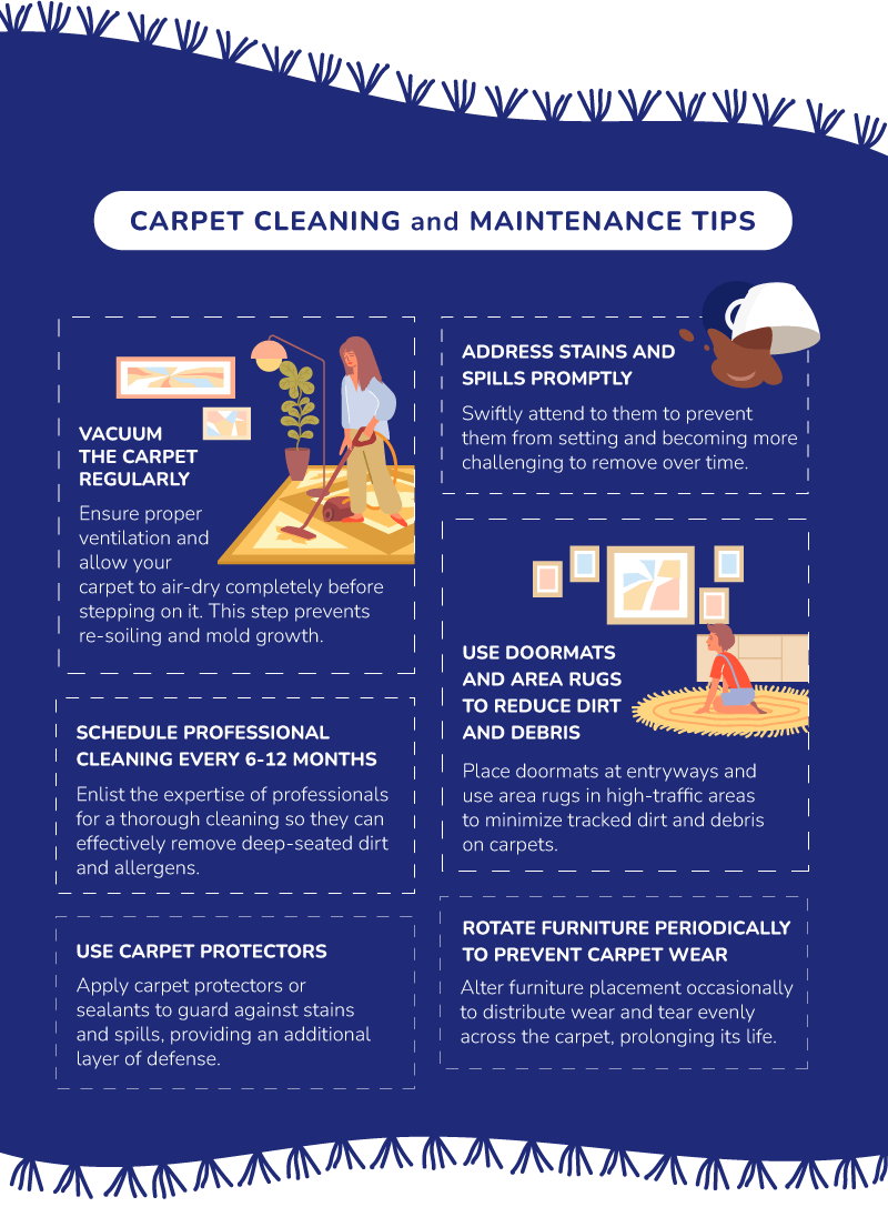 Unlocking the Secrets of Carpet Cleaning: An Infographic Guide to the ...