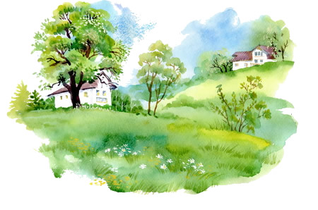 home renovation