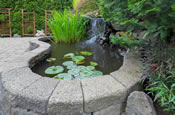 garden landscaping