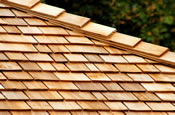 roofing pics