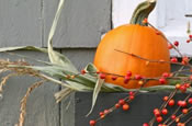 thanksgiving decor
