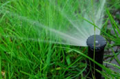 irrigation system