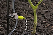 irrigation system