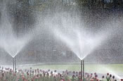 irrigation system