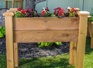 garden care
