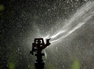 garden care