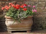 garden care