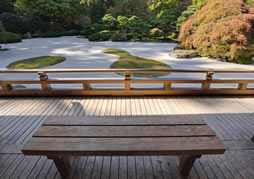 deck n' patio