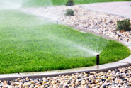 garden design