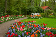 garden design