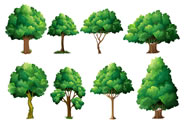 garden design