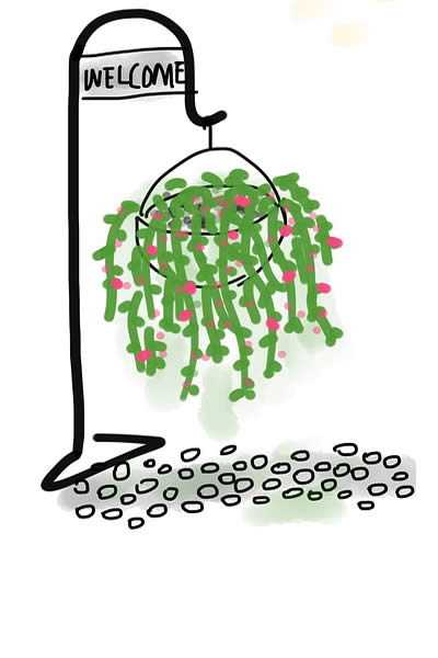 plant stands
