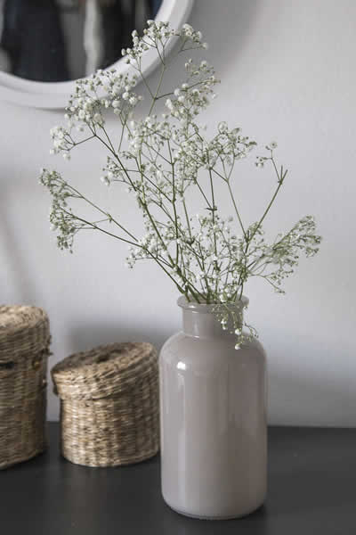 vases