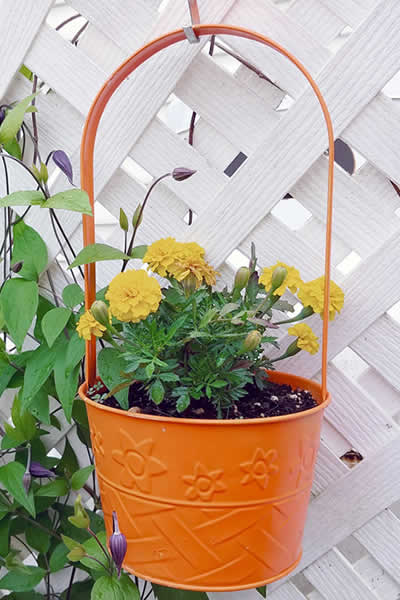 yard decor
