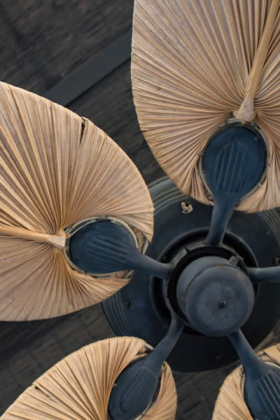 ceiling fans