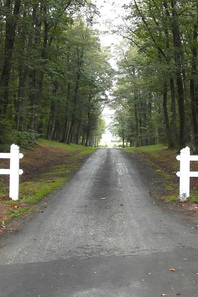 exterior driveway